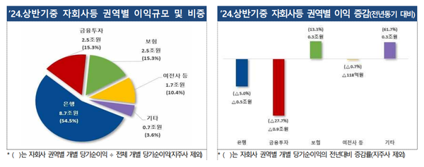 ⓒ금융감독원